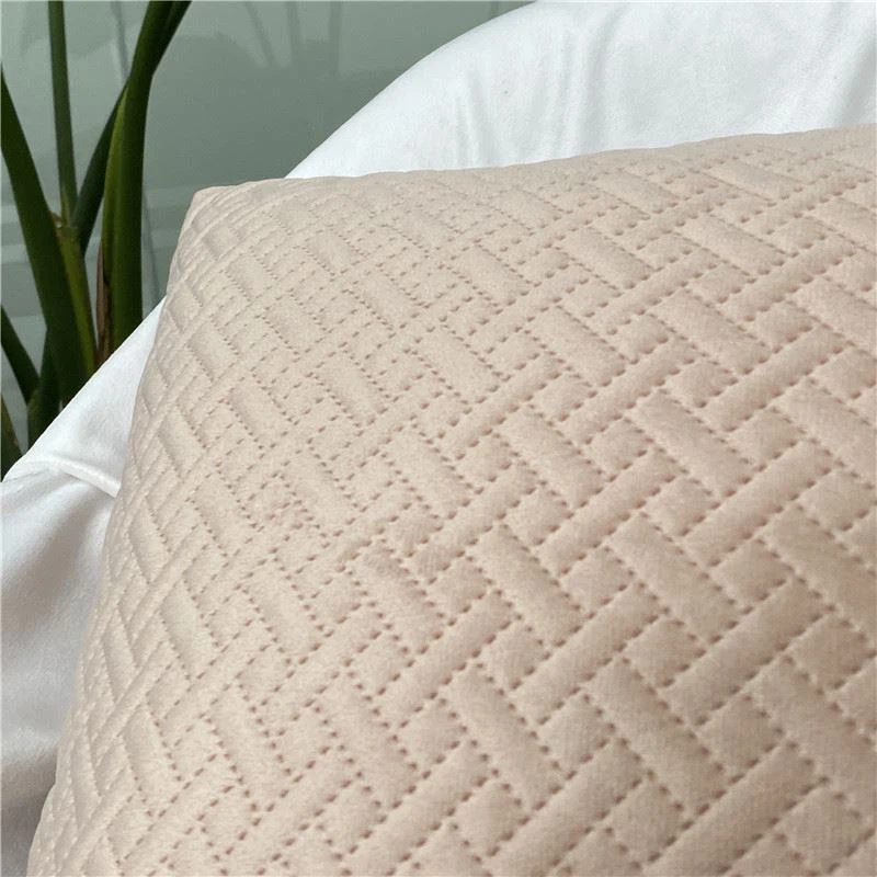 pink velvet cushion